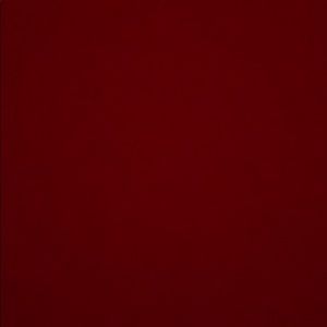 Meet your Posher, Riley